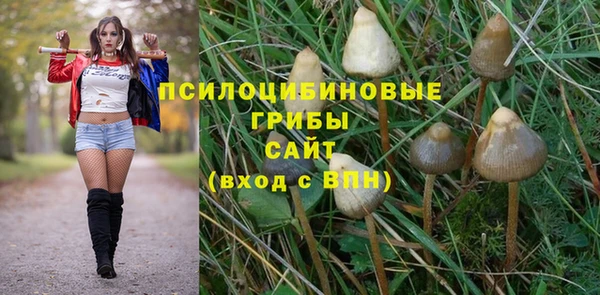 спайс Арсеньев
