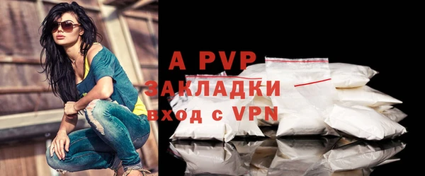спайс Арсеньев