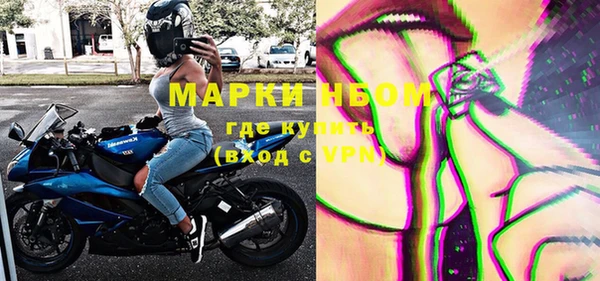 мяу мяу мука Аркадак