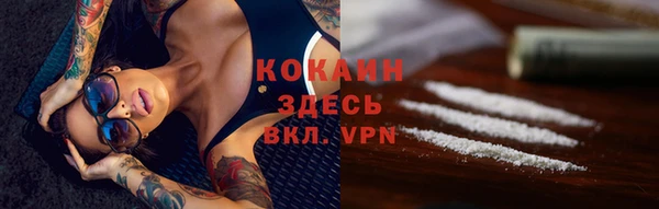 спайс Арсеньев
