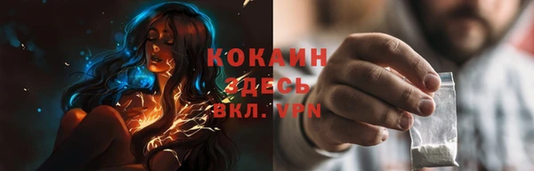 мяу мяу мука Аркадак