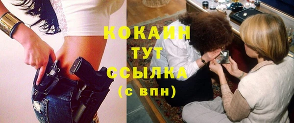 спайс Арсеньев