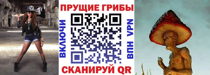 ОМГ ОМГ ТОР  Нижние Серги  Псилоцибиновые грибы Psilocybine cubensis 